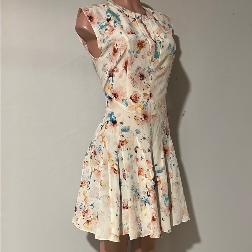 Rebecca Taylor Poppy Print 100% Silk Godet Lined Dress Size 8 - Picture 2 of 16